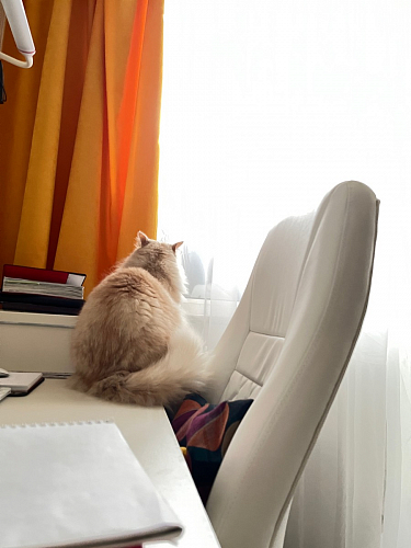 Компьютерное кресло Aragon dark grey фото покупателя 151