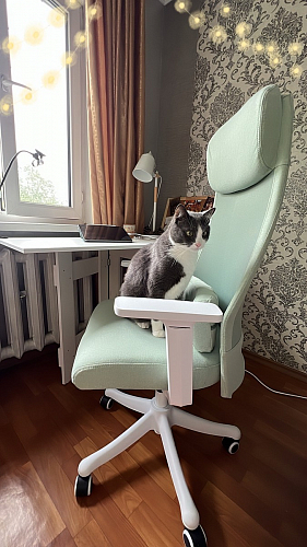 Компьютерное кресло Salta light green / white фото покупателя 22