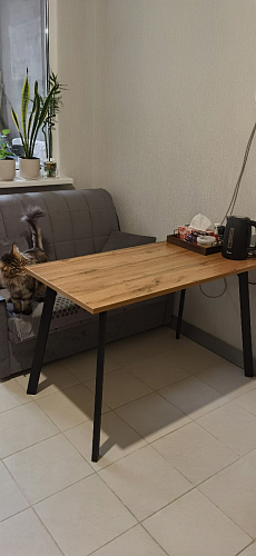 Стол Тринити Лофт 120 32 мм дуб галифакс табако / черный матовый фото покупателя 214