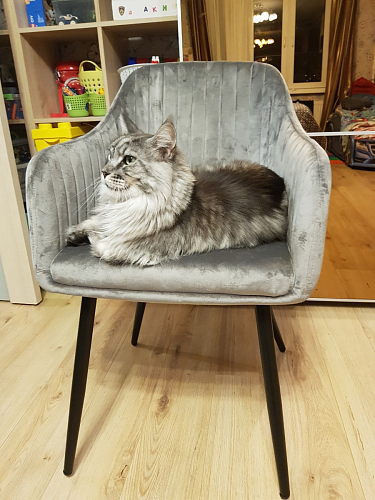 Стул на металлокаркасе Slam розовый фото покупателя 51