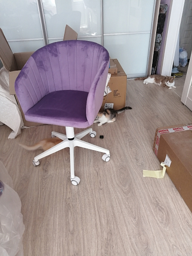 Компьютерное кресло Тибо confetti chocolate / белый фото покупателя 42