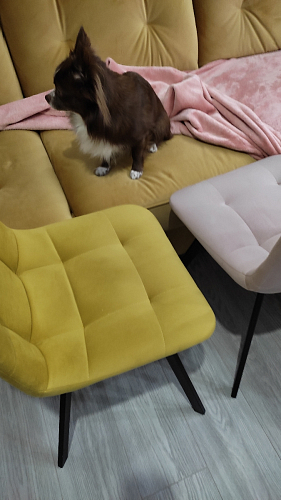 Стул на металлокаркасе Чилли синий / белый фото покупателя 883