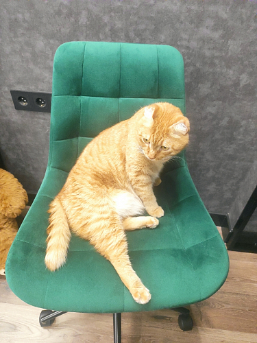 Компьютерное кресло Честер темно-серый / золото  - Уцененный экземпляр фото покупателя 57