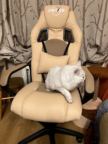 Компьютерное кресло Driver/Драйвер кожзам черный / ткань синий фото покупателя 51