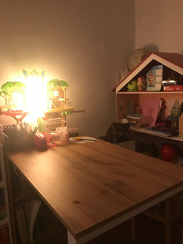 Письменный стол Битти Лофт 116х60х75 дуб вотан / белый матовый фото покупателя 71