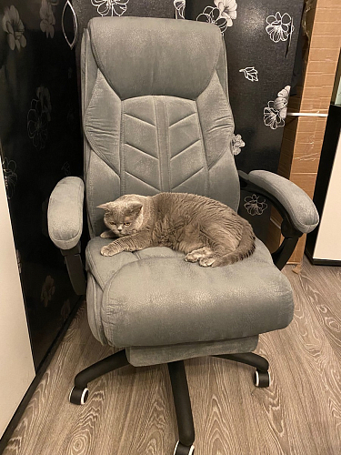 Компьютерное кресло Traun dark gray / black фото покупателя 13