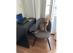 Стул Gabi 1 бежевый фото покупателя 27