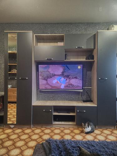 Готовая гостиная Бертелена дуб крафт серый / серый графит фото покупателя 123