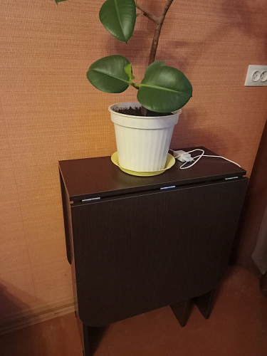 Стол-книжка Мечта дуб сонома  - Уцененный экземпляр фото покупателя 217