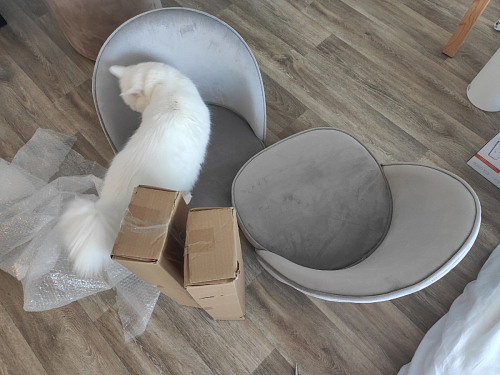 Стул Dodo бежевый фото покупателя 43