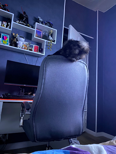 Компьютерное кресло Tron grey фото покупателя 63