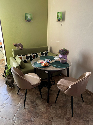 Стул на металлокаркасе Dodo khaki фото покупателя 1