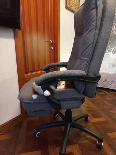 Компьютерное кресло Rapid голубое фото покупателя 60