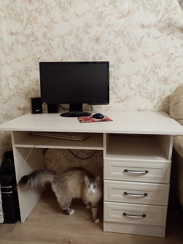 Журнальный стол Lorein butter white фото покупателя 3