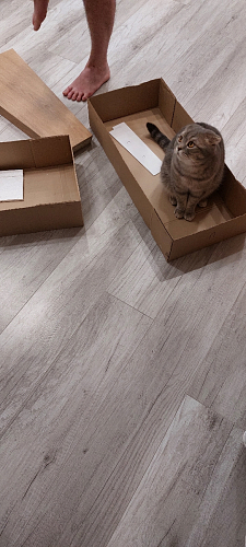 Стол на тумбе Петир 120(160)х80х75 серый / орех кантри фото покупателя 4