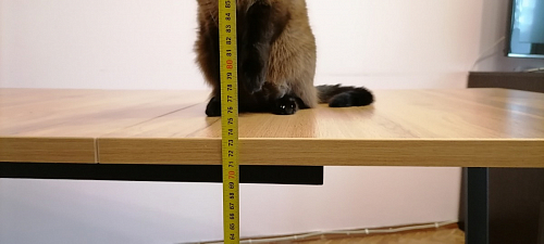 Деревянный стол Лота Лофт 120х75 белый матовый / дуб крафт золотой фото покупателя 323