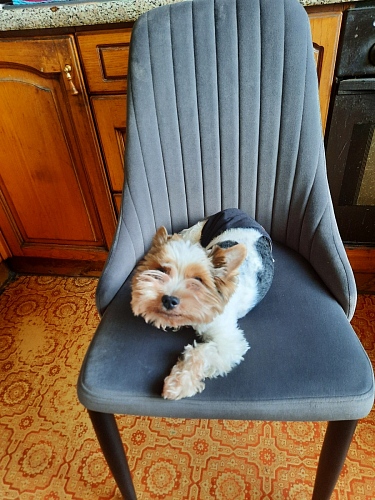 Стул на металлокаркасе Kora beige / black фото покупателя 179