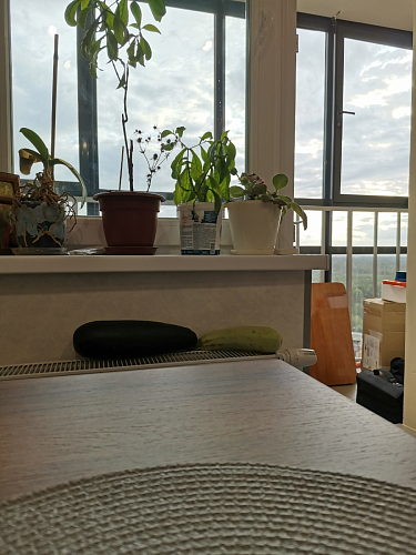 Деревянный стол Лота Лофт 120x75 дуб крафт табачный / черный матовый фото покупателя 859