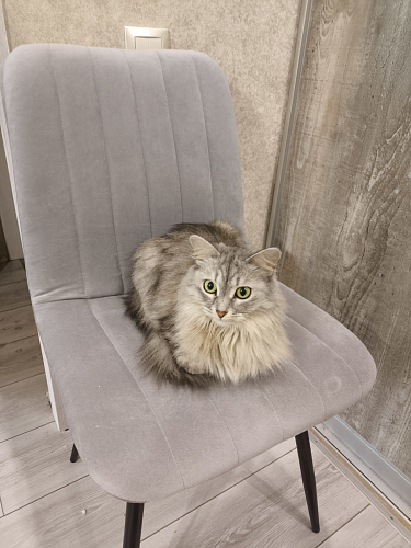 Стул на металлокаркасе Дани 01 кирпичный фото покупателя 45