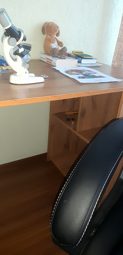 Письменный стол Фред Лофт дуб делано светлый / белый матовый фото покупателя 2