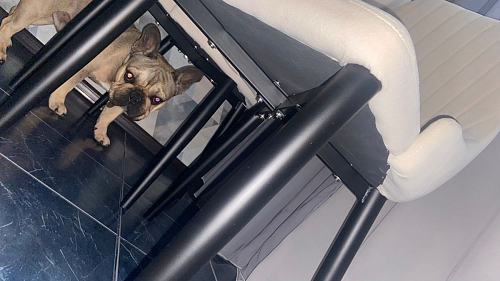 Стул на металлокаркасе Kora green / black фото покупателя 112