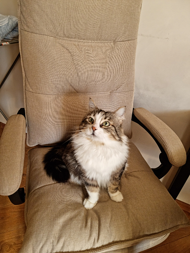 Компьютерное кресло Rapid голубое фото покупателя 42