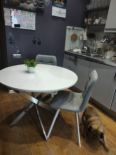 Стул на металлокаркасе Чилли К светло-серый велюр / черный каркас фото покупателя 345