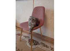 Стул на металлокаркасе Dabl wine red фото покупателя 82