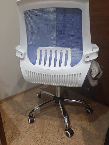 Компьютерное кресло Ergoplus light gray / white фото покупателя 16