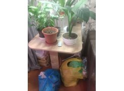 Стол-книжка Мечта венге фото покупателя 106