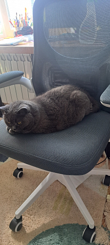 Компьютерное кресло Konfi dark gray / pink / white фото покупателя 170