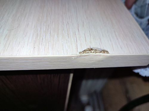 Стол письменный СП4 дуб молочный фото покупателя 23