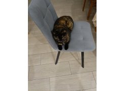 Стул на металлокаркасе Чилли розовый / черный каркас фото покупателя 526