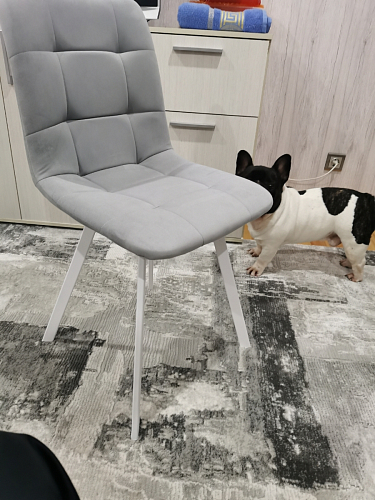 Стул на металлокаркасе Чилли К светло-серый велюр / черный каркас фото покупателя 264