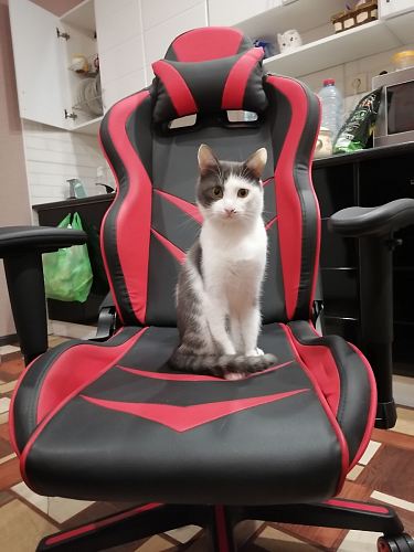 Компьютерное кресло Racer черное / красное фото покупателя 1