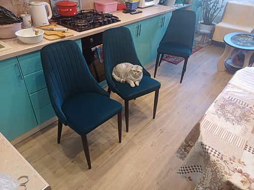 Стул на металлокаркасе Kora light purple / black фото покупателя 385