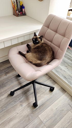 Компьютерное кресло Честер голубой (velutto 47 ) / черный фото покупателя 50