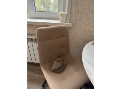 Стул на металлокаркасе Чилли розовый / черный каркас фото покупателя 184