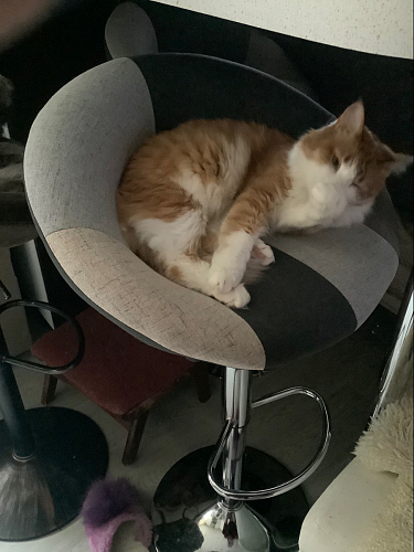 Барный стул Cody фото покупателя 3