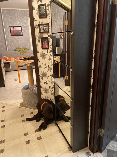 Обувница К-5 (зеркальная) венге / беленый дуб фото покупателя 13