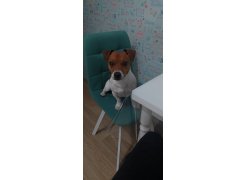 Стул Чилли 2 темно-серый  / черный фото покупателя 56