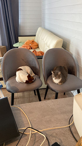 Стол Лота Лофт 120 32 мм бетон / черный матовый фото покупателя 53