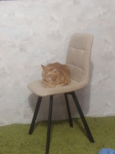 Комплект стульев Чилли 4 шт темно-серый / черный фото покупателя 600