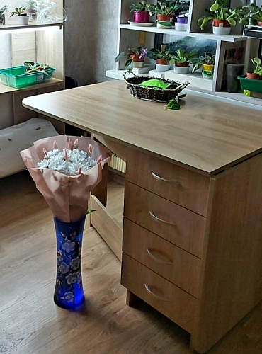 Стол-книжка Глория 606 М с ящиками дуб сонома фото покупателя 115