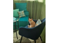 Стул на металлокаркасе Slam розовый фото покупателя 6