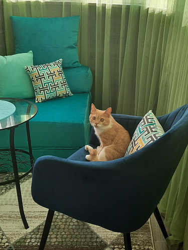 Стул на металлокаркасе Slam синий фото покупателя 6