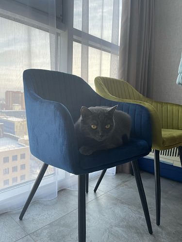 Стул на металлокаркасе Slam розовый фото покупателя 42