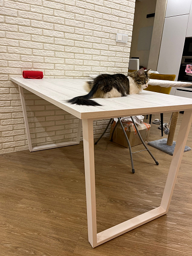 Стол раскладной Лота Лофт 120 25 мм юта / черный матовый фото покупателя 906