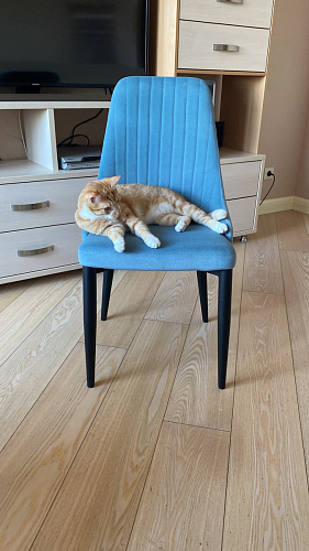 Стул на металлокаркасе Kora gray / black фото покупателя 114