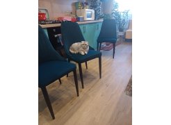 Стул на металлокаркасе Kora green / black фото покупателя 398